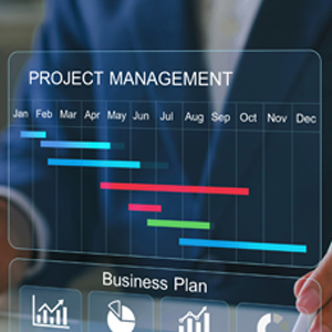 Project Management